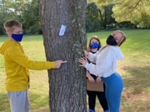 Haupt-Carrying Capacity 2